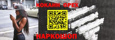 амф Сланцы