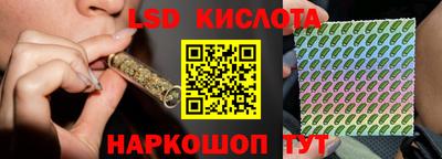 амф Сланцы