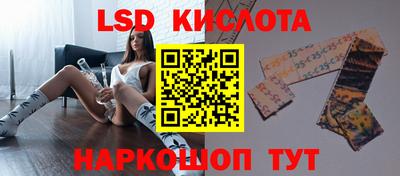 амф Сланцы