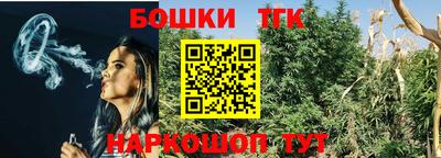 амф Сланцы
