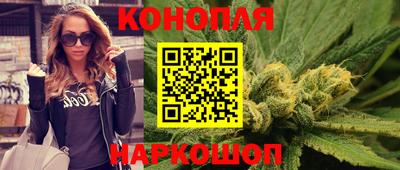 амф Сланцы