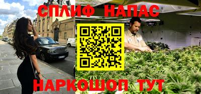 амф Сланцы