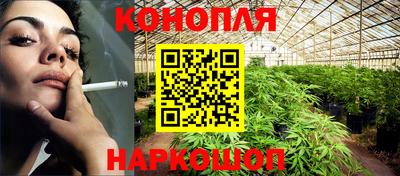 амф Сланцы