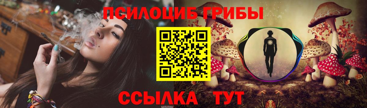 Галлюциногенные грибы GOLDEN TEACHER Ухта